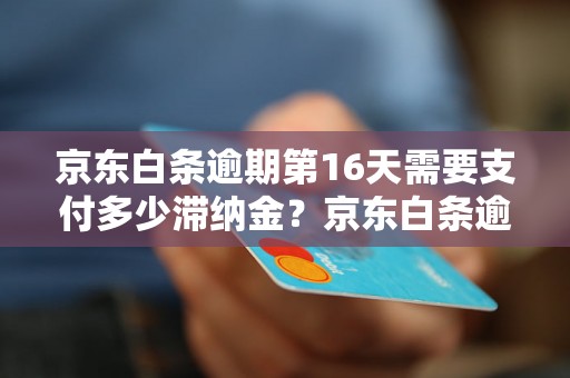 京东白条逾期第16天需要支付多少滞纳金？京东白条逾期第16天的处罚措施是什么？