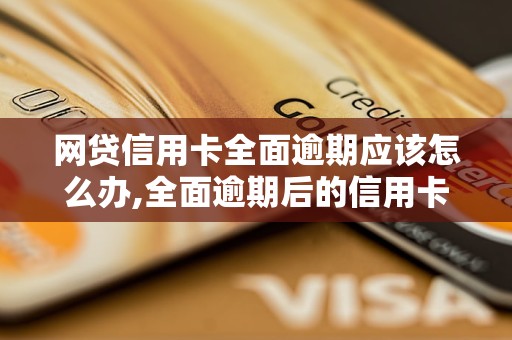 网贷信用卡全面逾期应该怎么办,全面逾期后的信用卡还款方法