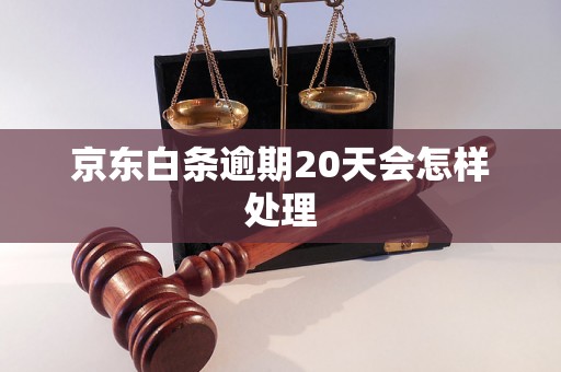 京东白条逾期20天会怎样处理