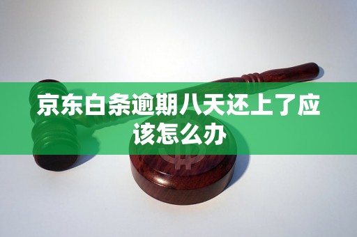 京东白条逾期八天还上了应该怎么办