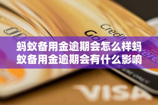 蚂蚁备用金逾期会怎么样蚂蚁备用金逾期会有什么影响