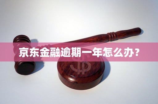 京东金融逾期一年怎么办？