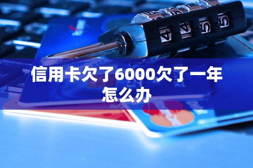 信用卡欠了6000欠了一年怎么办