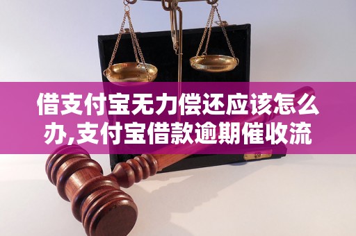 借支付宝无力偿还应该怎么办,支付宝借款逾期催收流程解析