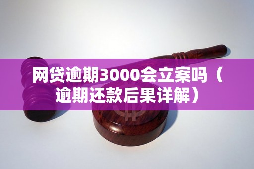 网贷逾期3000会立案吗（逾期还款后果详解）