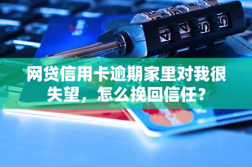 网贷信用卡逾期家里对我很失望，怎么挽回信任？