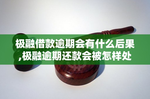 极融借款逾期会有什么后果,极融逾期还款会被怎样处理