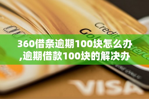 360借条逾期100块怎么办,逾期借款100块的解决办法