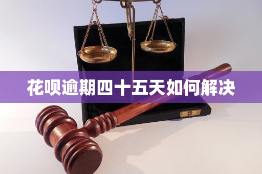 花呗逾期四十五天如何解决