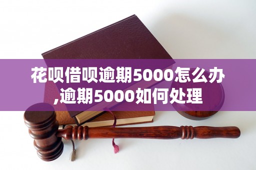 花呗借呗逾期5000怎么办,逾期5000如何处理