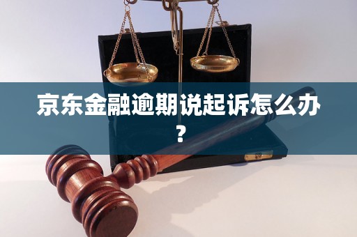 京东金融逾期说起诉怎么办？