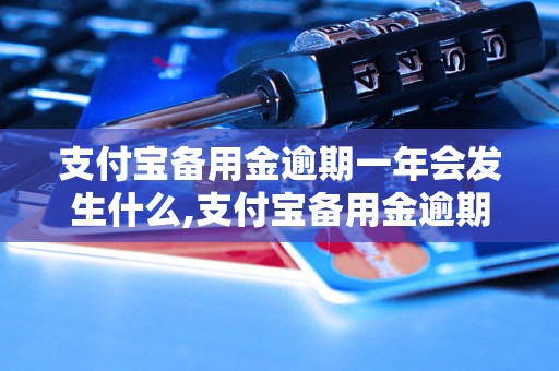 支付宝备用金逾期一年会发生什么,支付宝备用金逾期后的处理方式