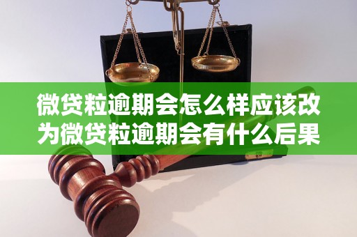 微贷粒逾期会怎么样应该改为微贷粒逾期会有什么后果