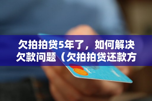 欠拍拍贷5年了，如何解决欠款问题（欠拍拍贷还款方式及注意事项）