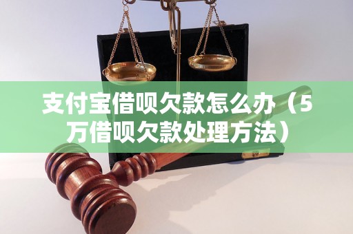 支付宝借呗欠款怎么办（5万借呗欠款处理方法）