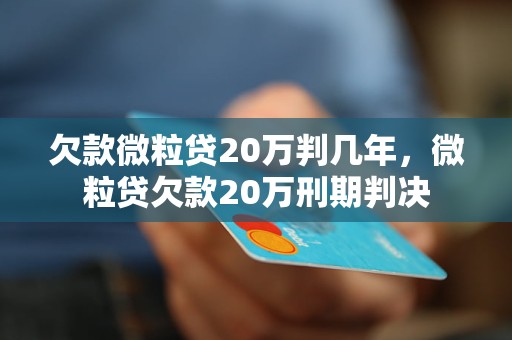 欠款微粒贷20万判几年，微粒贷欠款20万刑期判决