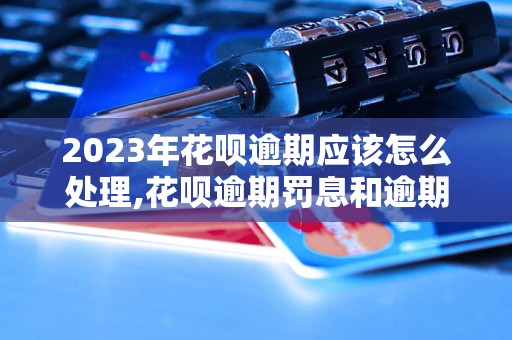 2023年花呗逾期应该怎么处理,花呗逾期罚息和逾期记录怎么解决