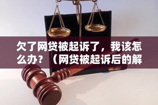 欠了网贷被起诉了，我该怎么办？（网贷被起诉后的解决方案）