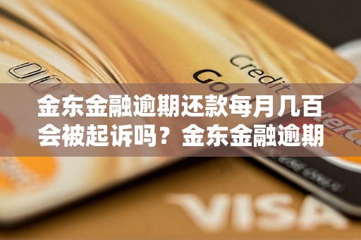 金东金融逾期还款每月几百会被起诉吗？金东金融逾期还款会有什么后果？