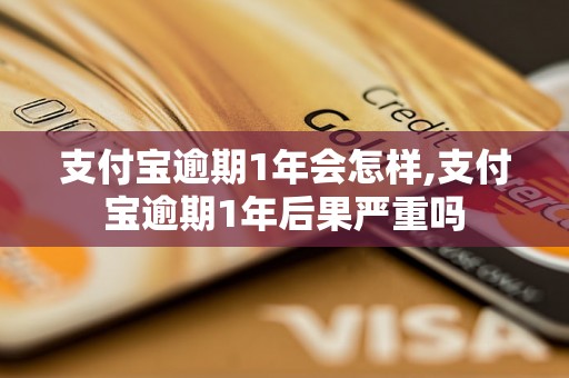 支付宝逾期1年会怎样,支付宝逾期1年后果严重吗