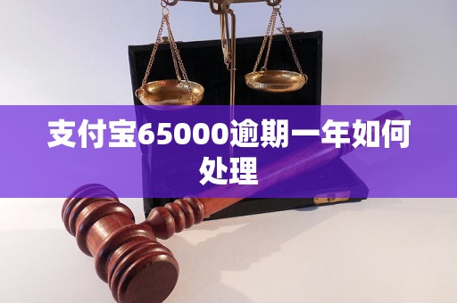 支付宝65000逾期一年如何处理