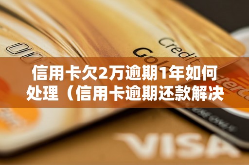 信用卡欠2万逾期1年如何处理（信用卡逾期还款解决方法详解）