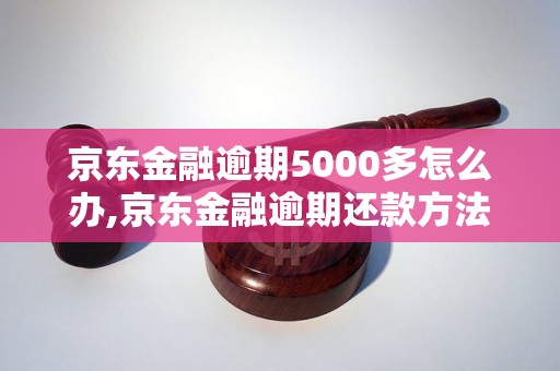 京东金融逾期5000多怎么办,京东金融逾期还款方法及注意事项