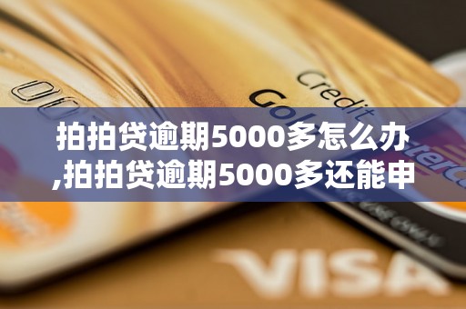 拍拍贷逾期5000多怎么办,拍拍贷逾期5000多还能申请借款吗