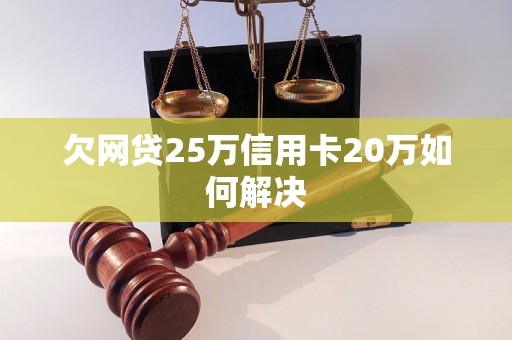 欠网贷25万信用卡20万如何解决