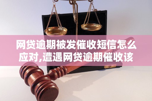 网贷逾期被发催收短信怎么应对,遭遇网贷逾期催收该怎么处理