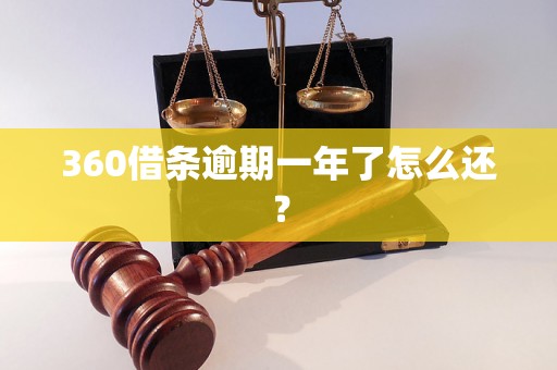 360借条逾期一年了怎么还？