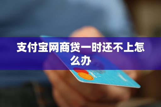 支付宝网商贷一时还不上怎么办