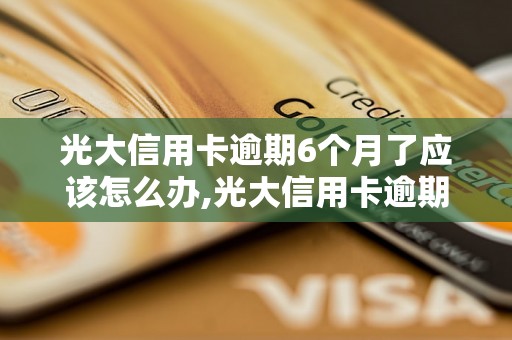 光大信用卡逾期6个月了应该怎么办,光大信用卡逾期6个月了会有什么后果