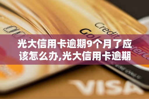 光大信用卡逾期9个月了应该怎么办,光大信用卡逾期9个月了有什么后果