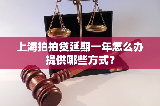 上海拍拍贷延期一年怎么办提供哪些方式？