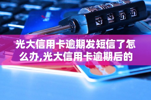 光大信用卡逾期发短信了怎么办,光大信用卡逾期后的处理方法