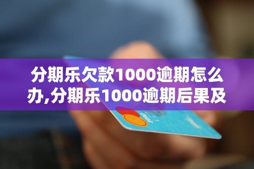 分期乐欠款1000逾期怎么办,分期乐1000逾期后果及处理方法