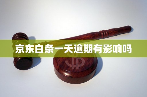 京东白条一天逾期有影响吗