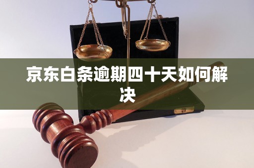 京东白条逾期四十天如何解决