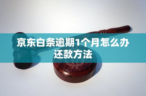 京东白条逾期1个月怎么办还款方法