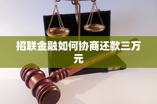 招联金融如何协商还款三万元