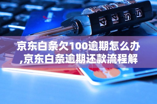 京东白条欠100逾期怎么办,京东白条逾期还款流程解析