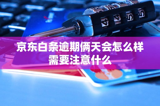 京东白条逾期俩天会怎么样需要注意什么