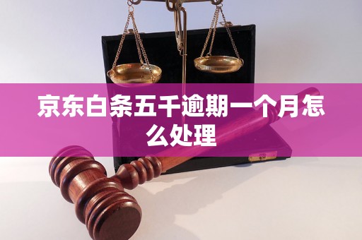 京东白条五千逾期一个月怎么处理