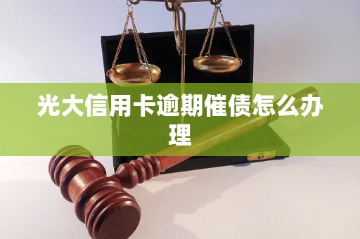 光大信用卡逾期催债怎么办理