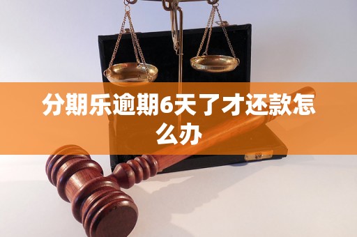 分期乐逾期6天了才还款怎么办