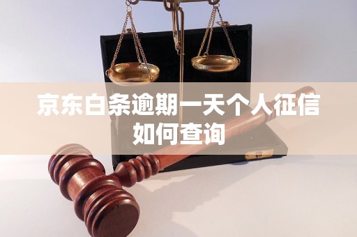 京东白条逾期一天个人征信如何查询