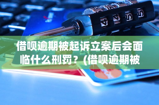 借呗逾期被起诉立案后会面临什么刑罚？(借呗逾期被立案后的刑事处罚是什么)