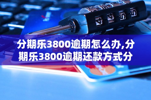 分期乐3800逾期怎么办,分期乐3800逾期还款方式分析