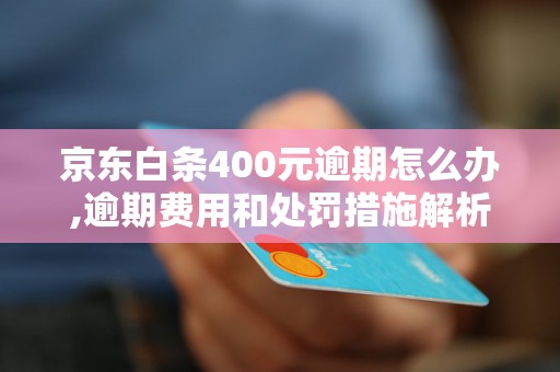 京东白条400元逾期怎么办,逾期费用和处罚措施解析